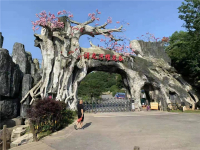 塑树系列
